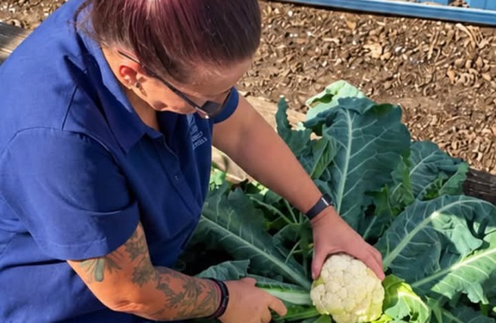 From Garden to Table at Lakeview
